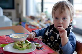 introduccion alimentos niños