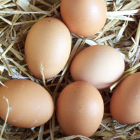 Huevos alimentación infantil