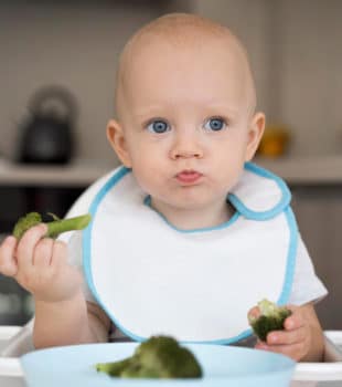 Alimentos Prohibidos Bebes Menores 1 Año