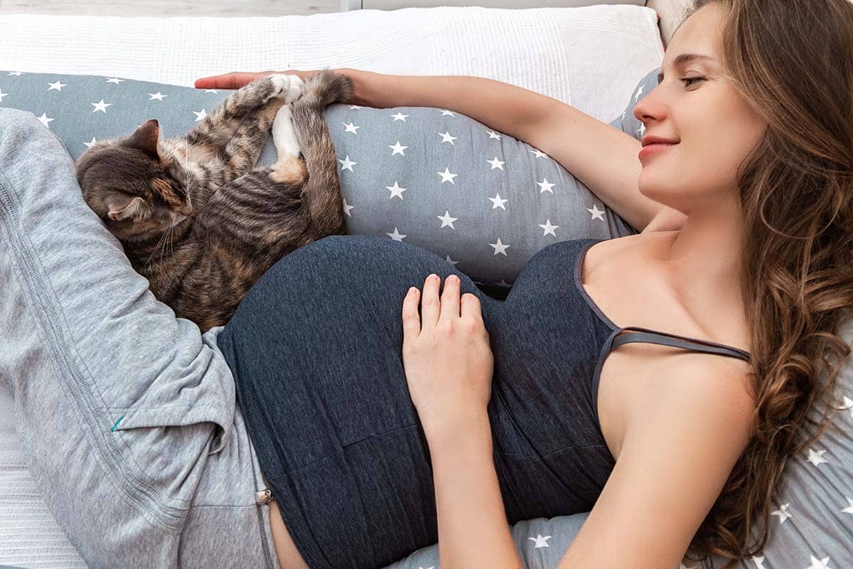 Toxoplasmosis y embarazo, ¿son peligrosos los gatos si estás embarazada?