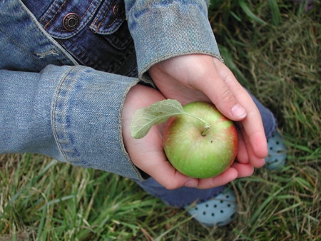 Fruta Para Ninos1 - Fruta Para Niños: A Comer Fruta Se Aprende