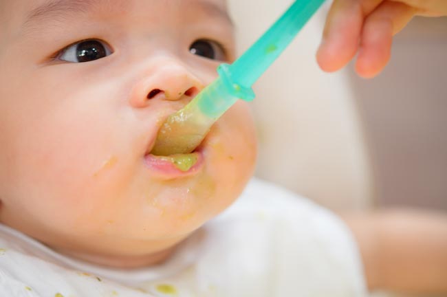 Comidas Bebe Menú Diario