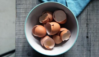 sustituir huevo en recetas
