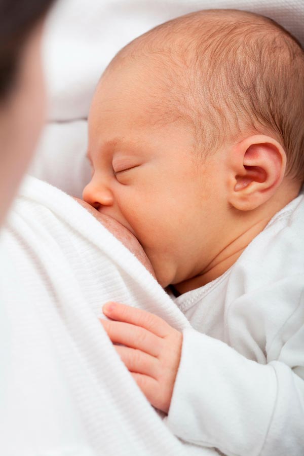 sanar cirujano perdonado La alimentación de la madre durante la lactancia materna | PequeRecetas