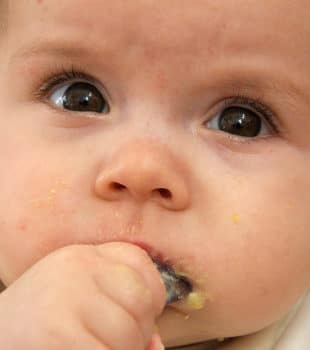 bebe menjant sol papilla -