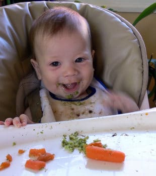 Bebe Zanahor Ppl - Alimentación Del Bebé, Cómo Introducir Las Verduras.