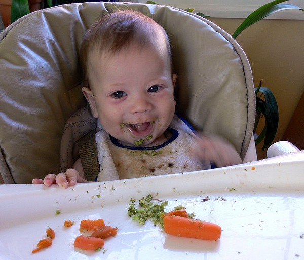 Bebe Zanahor Ppl - Alimentación Del Bebé, Cómo Introducir Las Verduras.