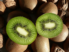 kiwi -