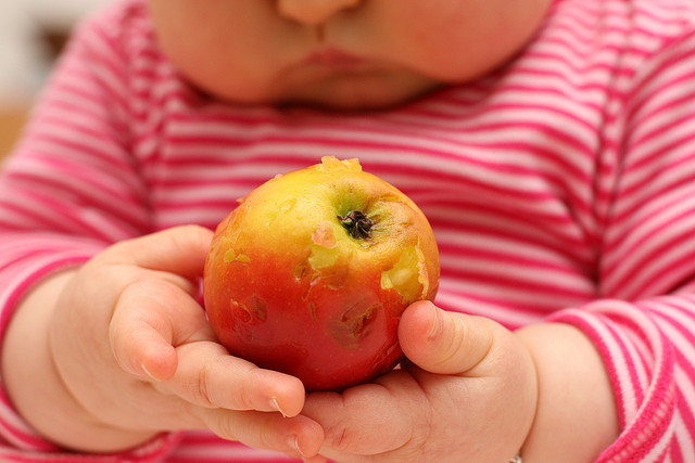 Niña Albaricoque2 - Cómo Introducir Las Frutas En Bebés