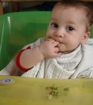 Bebe Guisantes - Legumbres Para Bebés, Cómo Introducirlas