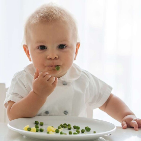 legumbres para bebés