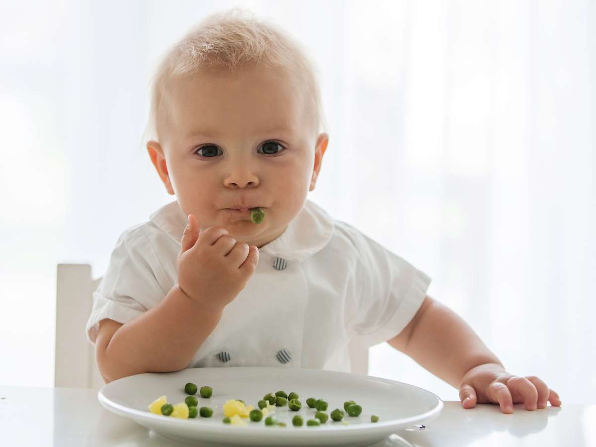 Introducción de legumbres en bebés: cuándo y cómo ofrecerlas
