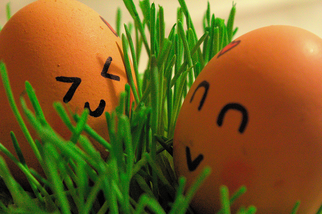 Huevos Ojos - Cómo Introducir El Huevo En Los Bebés Y A Partir De Qué Edad