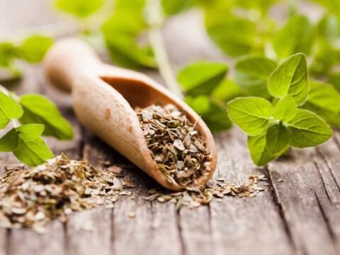 como secar hierbas aromáticas