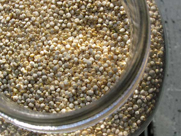 propiedades quinoa