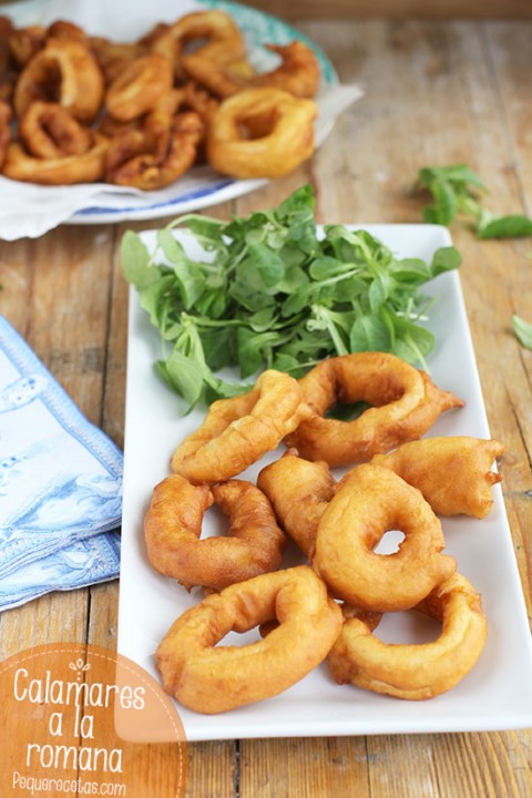 A Que Familia Pertenecen Los Calamares