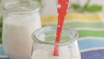 homemade yogurt sauce