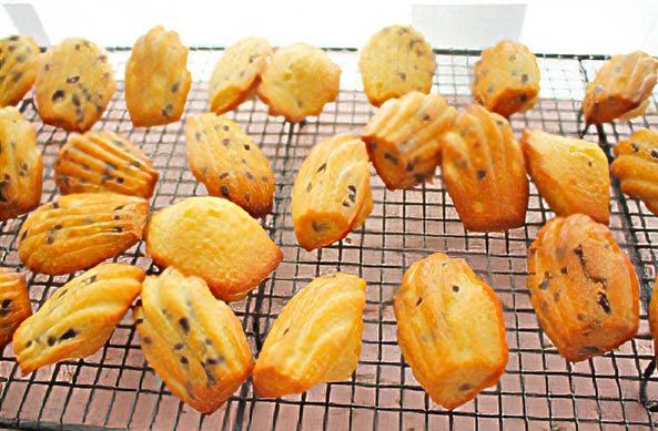 difference madeleines vs magdalenas -