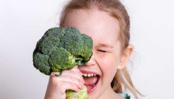 properties and benefits of broccoli