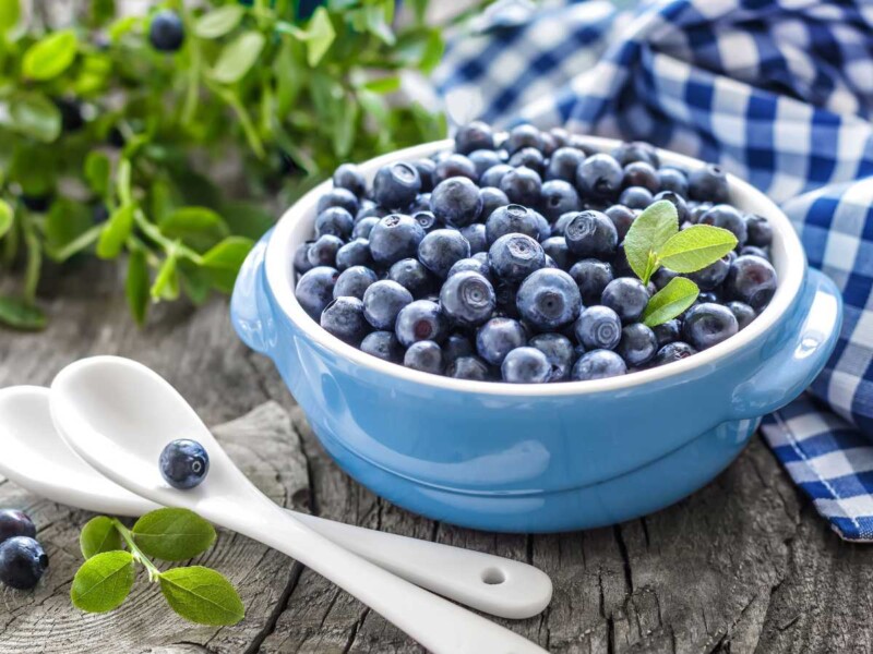 arándanos propiedades