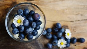 blueberry properties