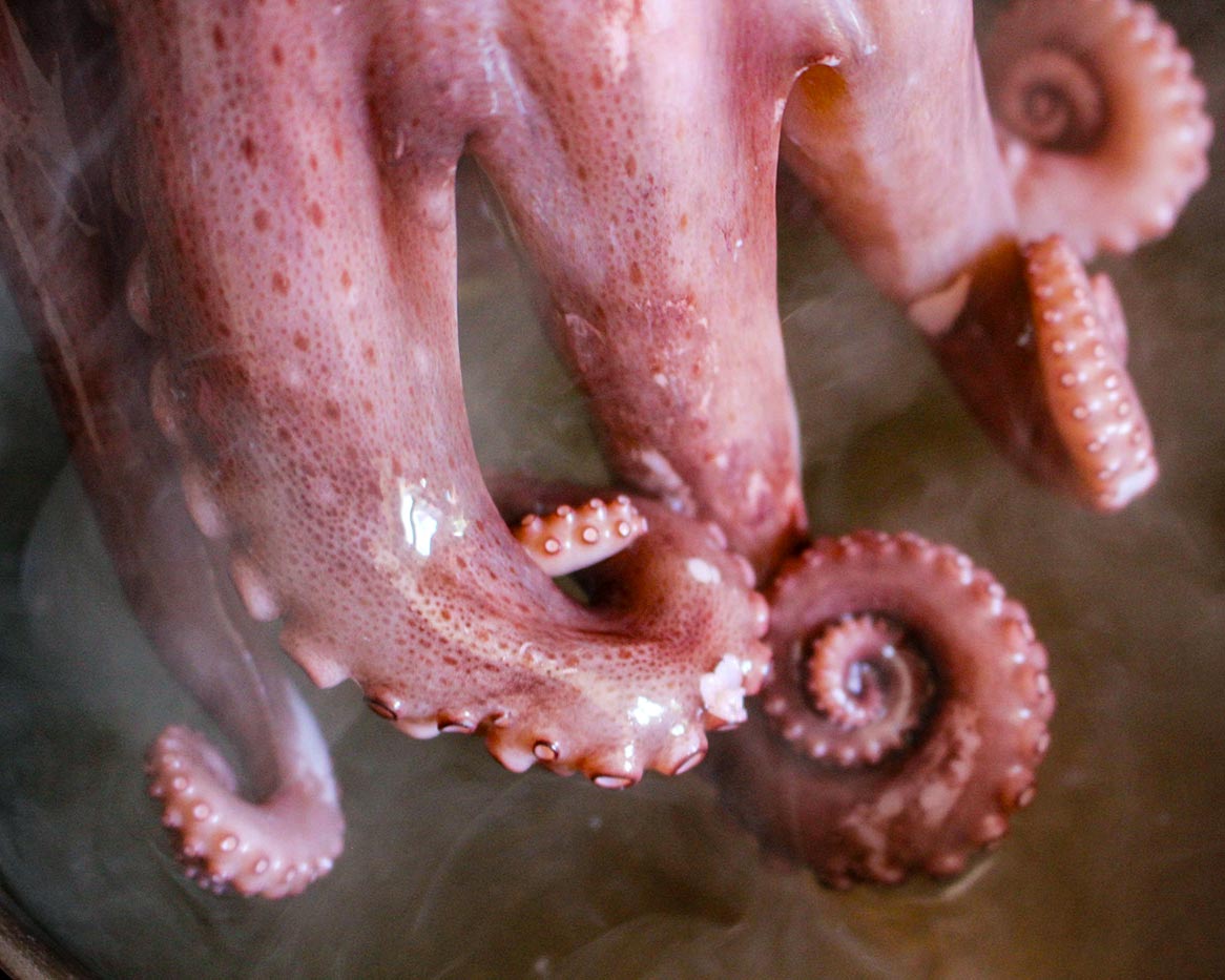 scare the octopus to cook -