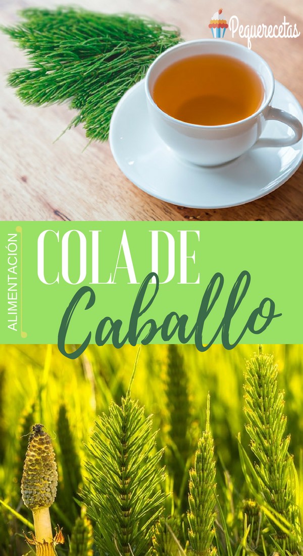 Cola de caballo