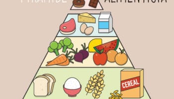 Pirámide De Los Alimentos