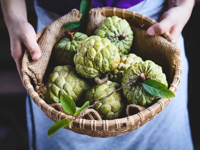 chirimoya propiedades