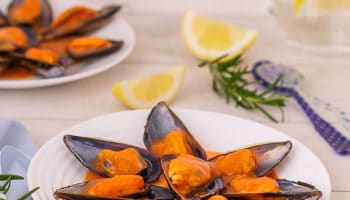 mussels in sauce, homemade recipe
