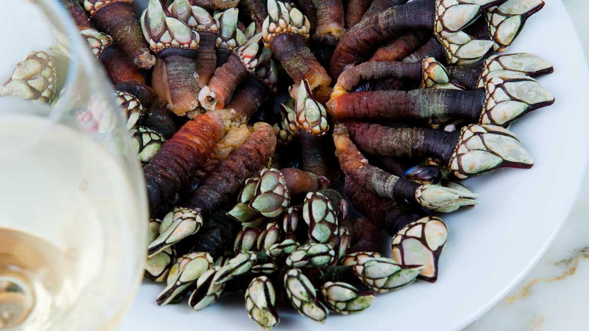 cocer percebes en casa tiempo