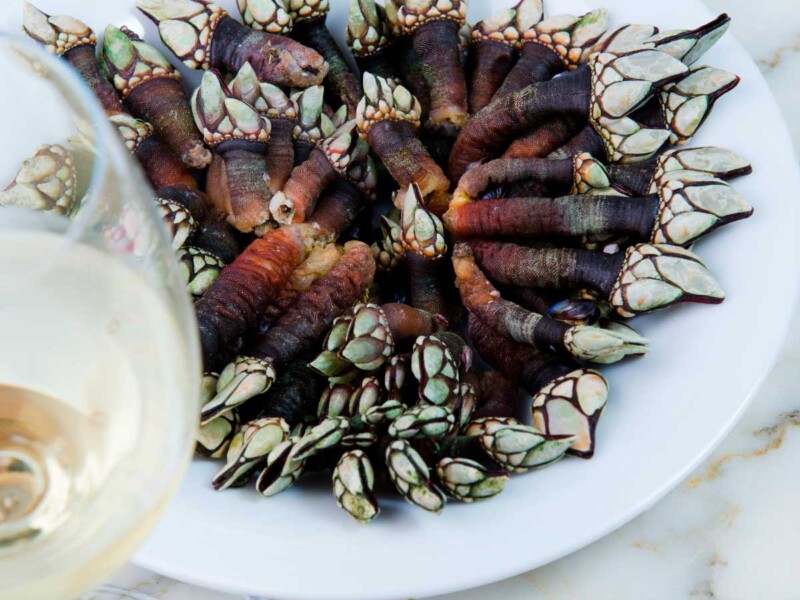 cocer percebes en casa tiempo