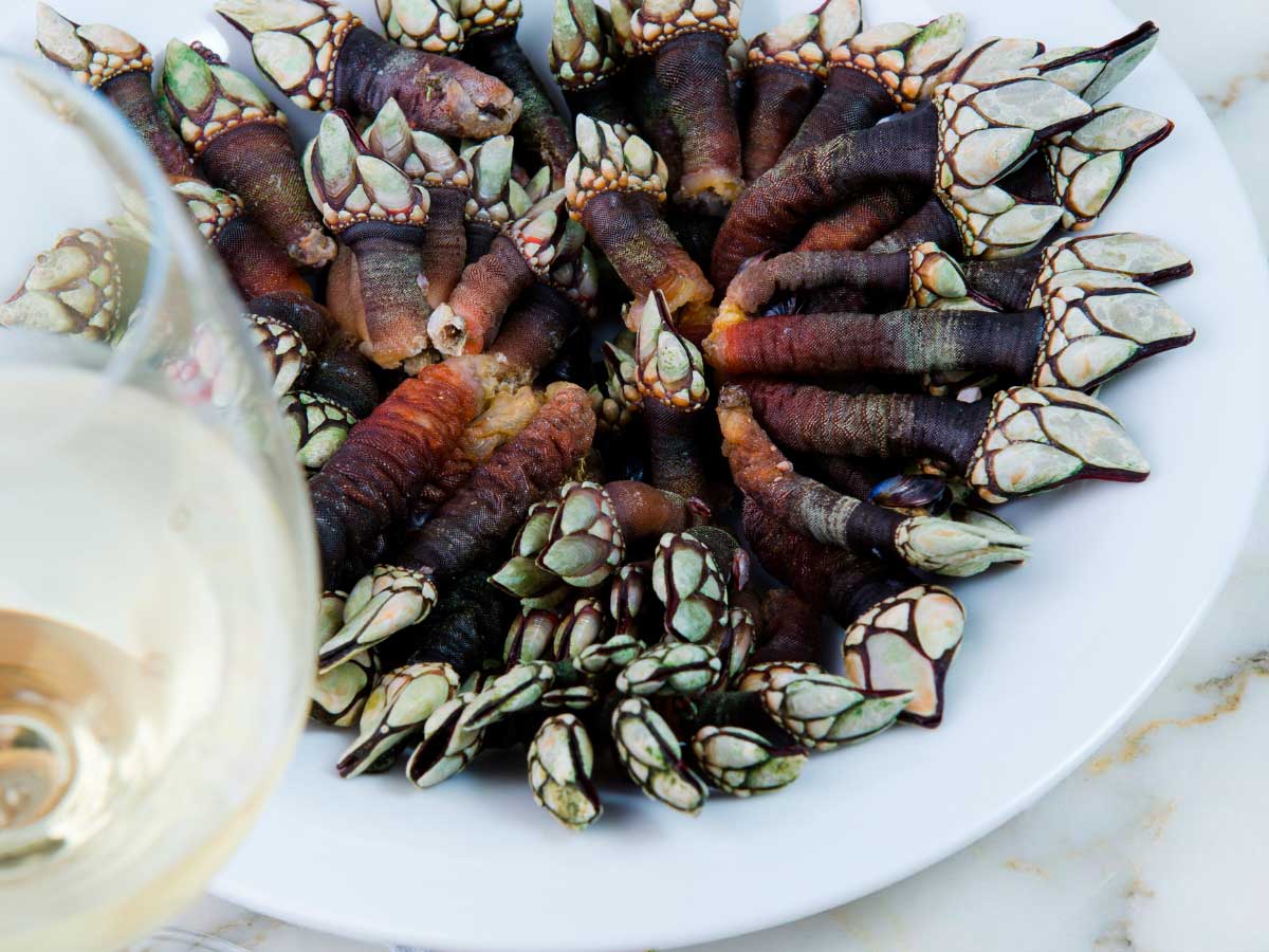 cocer percebes en casa tiempo