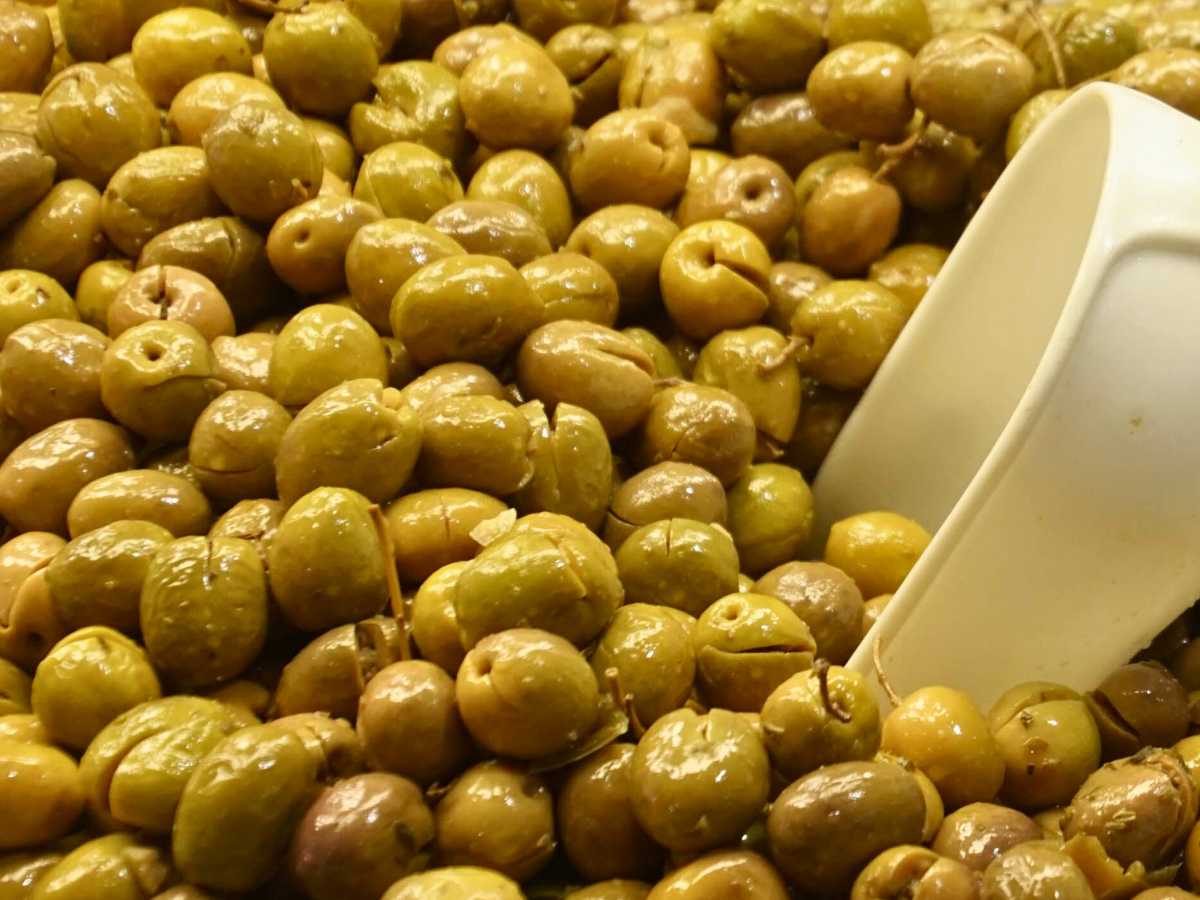 aceitunas aloreñas de Málaga