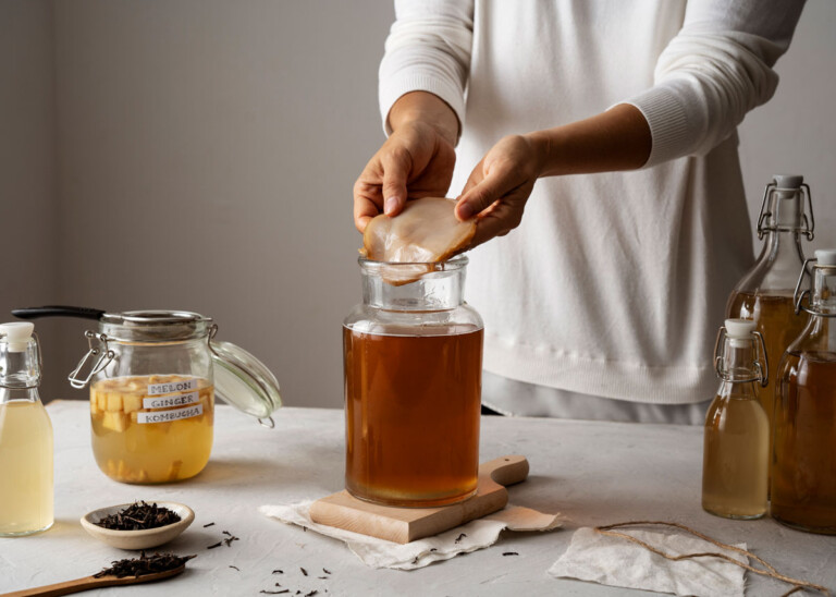 ¿Qué es la KOMBUCHA y por qué todo el mundo habla de sus propiedades? PequeRecetas