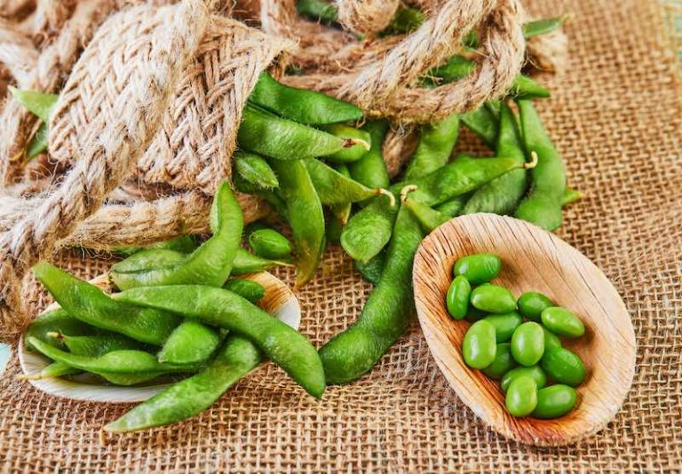 5 recetas con edamame (qué es y qué propiedades tienen los edamames