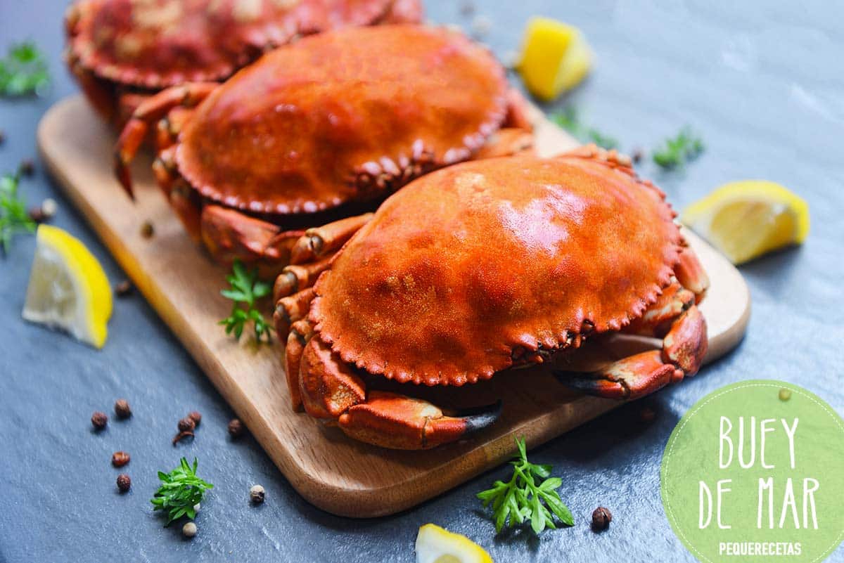 Cómo cocer buey de mar