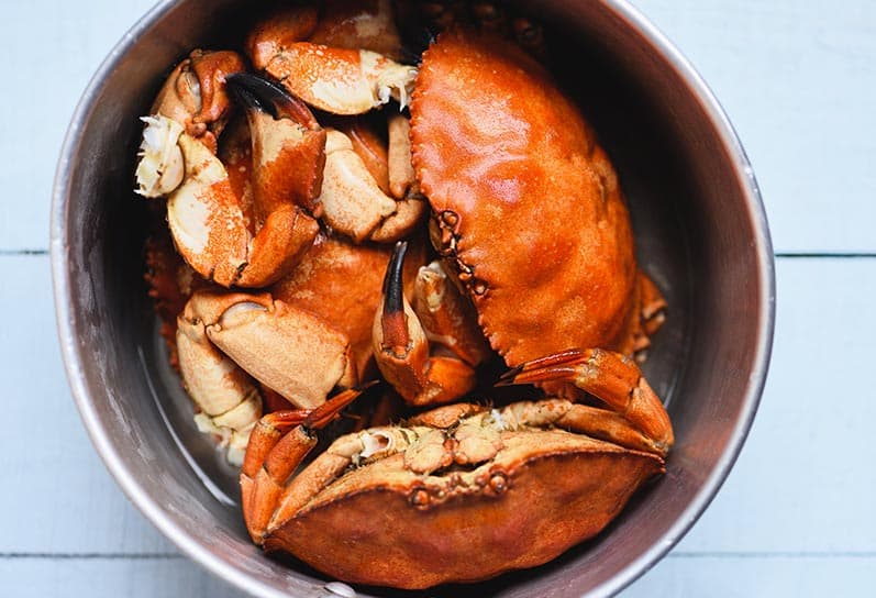 Cocer buey de mar vivo