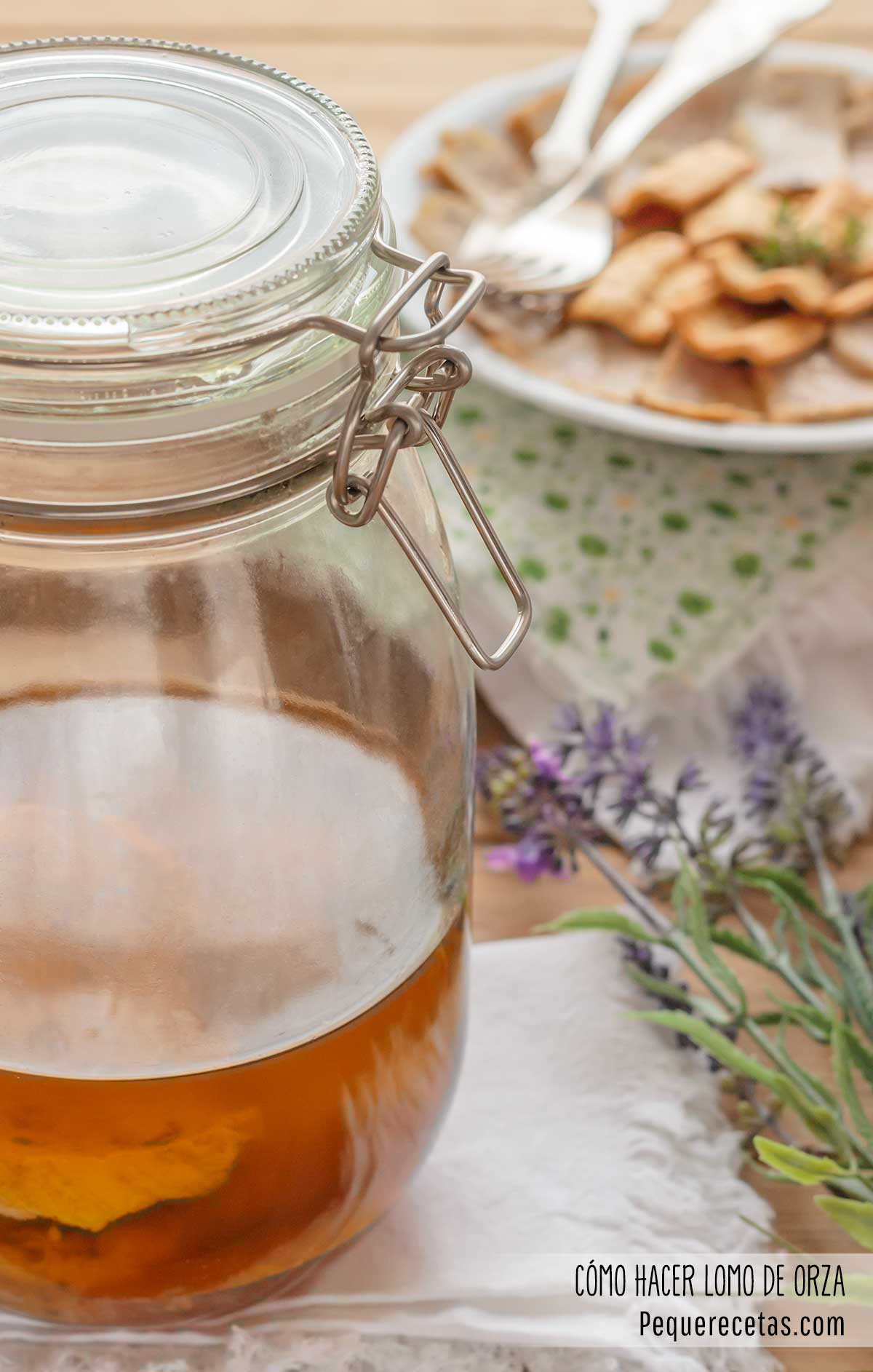 como hacer lomo de orza