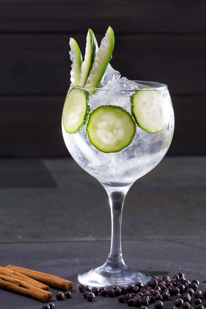 Gin Tonic (ingredientes para hacer las mejores recetas de Gin Tonic