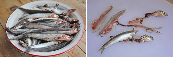 how to clean anchovies