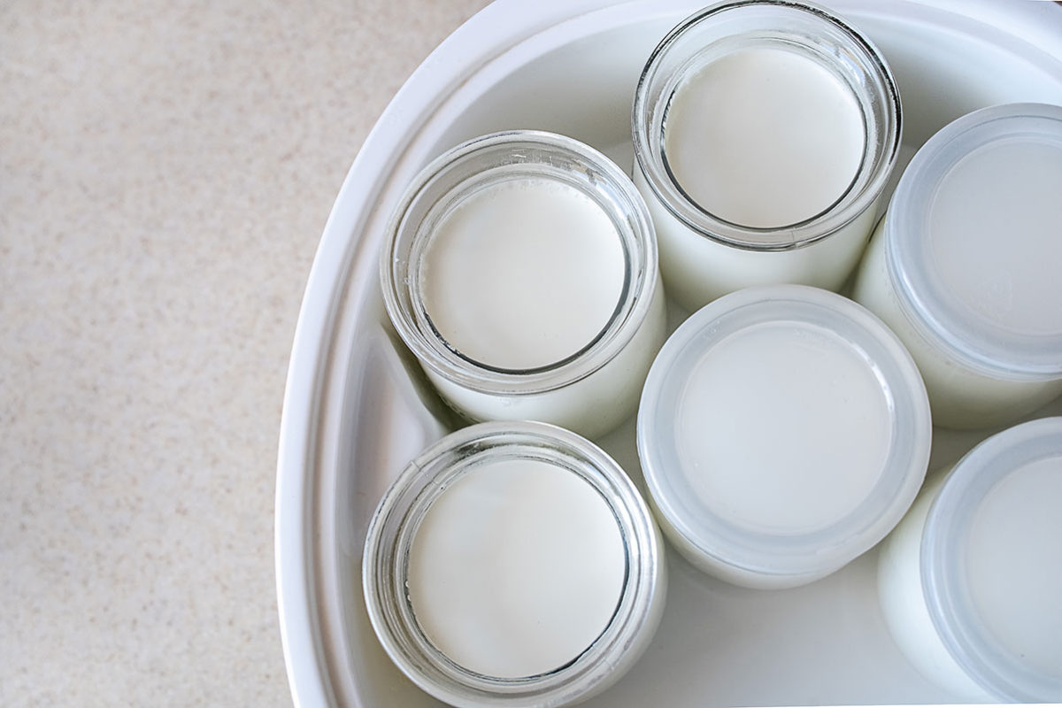 Yogurteras Yogur Casero - Cómo Hacer Yogur En Yogurtera