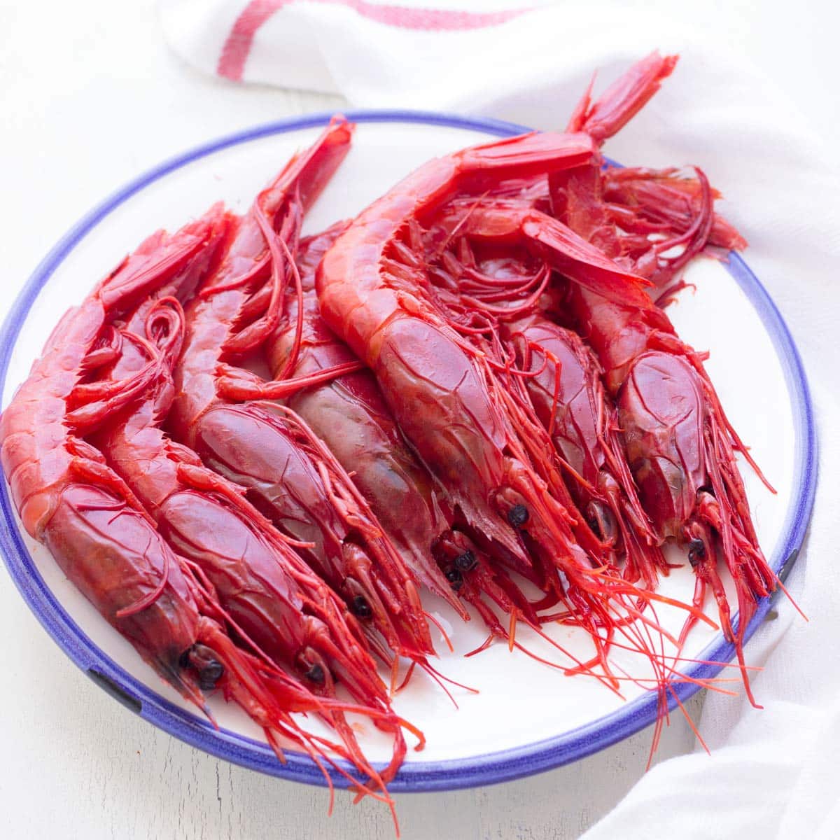 carabineros
