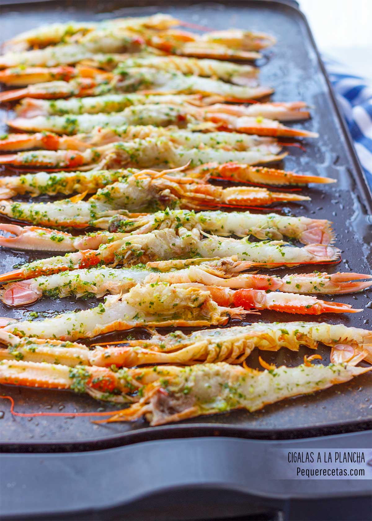 como hacer cigalas a la plancha