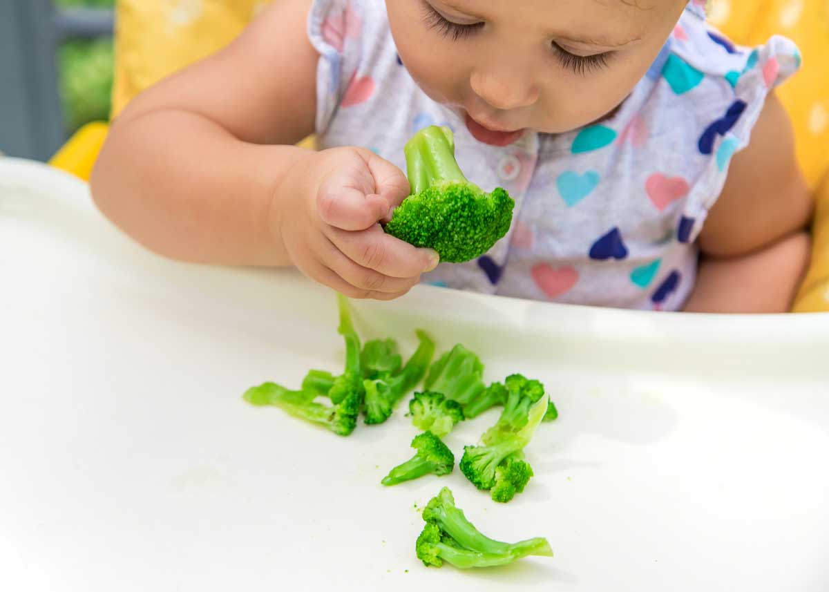propiedades del brocoli para bebes y niños