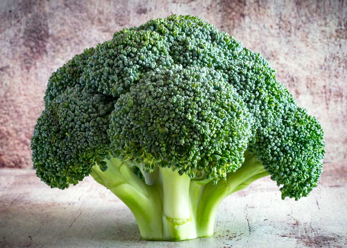 Que Es El Brocoli