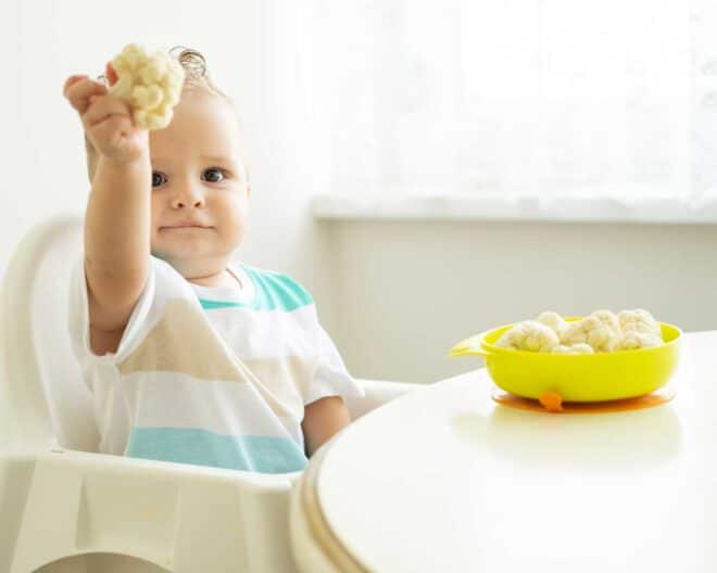 coliflor para bebes y niños