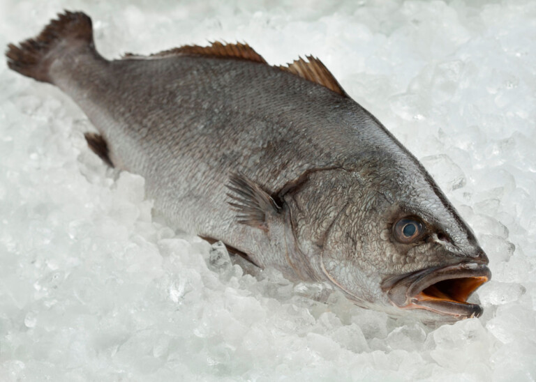 Corvina al horno a la bilbaína con patatas PequeRecetas