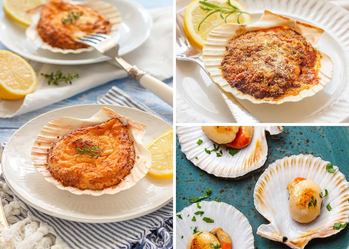 Vieiras (3 recetas tradicionales para cocinar vieiras)