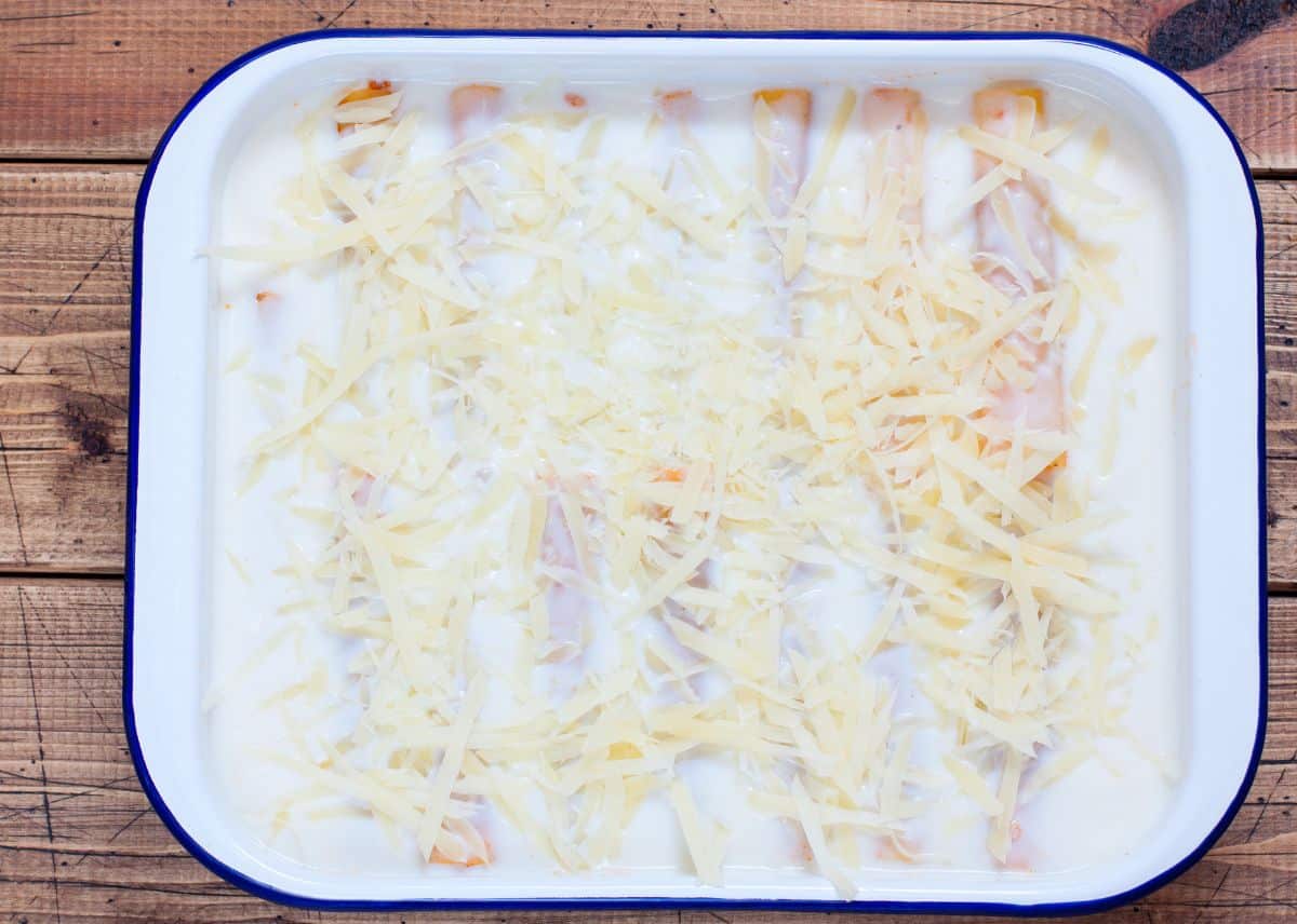 cannelloni with bechamel sauce -